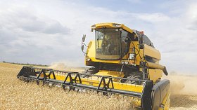 .. 10 شروط للاكتفاء الغذائي