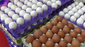مقاطعة البيض “إيجابيّة”.. وخفّضت الأسعار مؤقتا