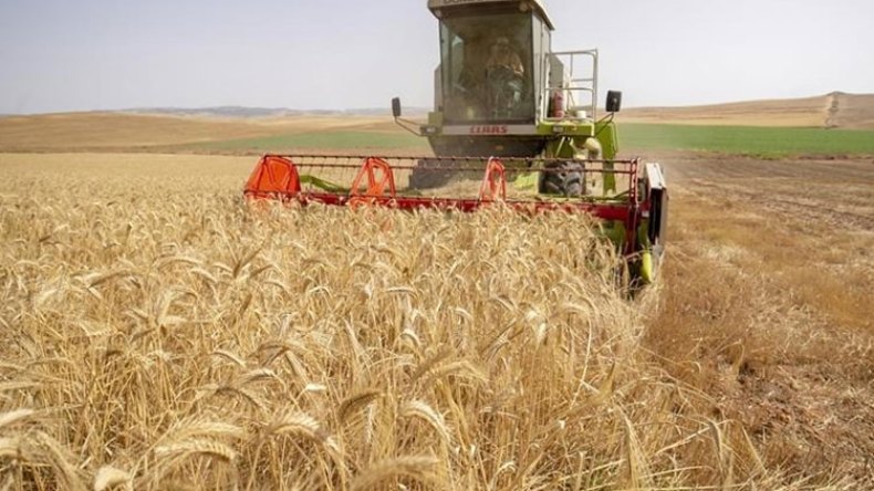 الفلاحون يدعمون إرادة الرئيس تبون في الاكتفاء الغذائي