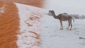 بالصور.. الثلوج تعانق كثبان رملية بالصحراء الجزائرية