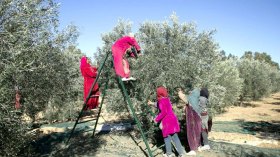 قوافل نسائية تتحدى التضاريس والحيوانات المفترسة