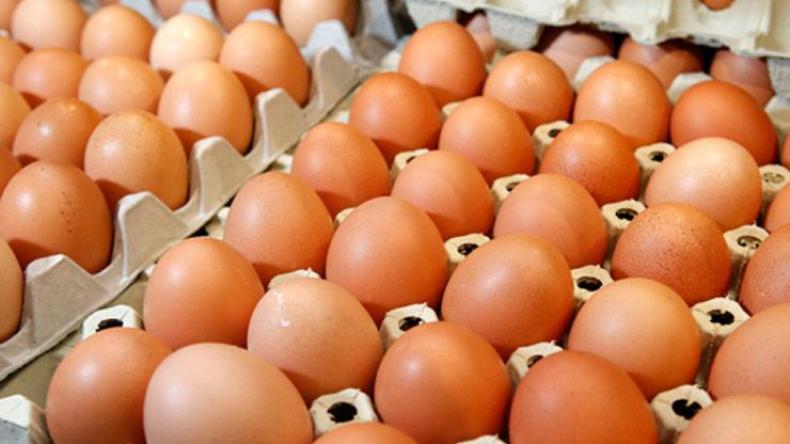 مجلس تربية الدواجن: هذا هو السعر العادل للبيض وشروط تحقيقه