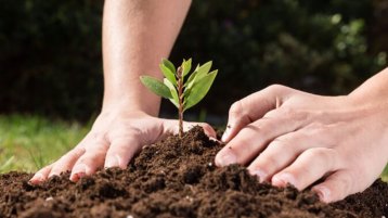 أي قيم سَيَحمِل جيلُ الغد؟