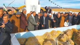 باحثون يسلّطون الضوء على معركة إيفري البلح بقيادة بن بولعيد