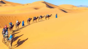 وكالات الأسفار الإيطالية تسوّق للسياحة في الجزائر