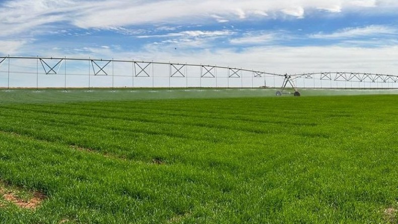 مشروع استثماري فلاحي تركي ضخم بولاية أدرار