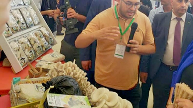 فطر جزائري يغزو الأسواق