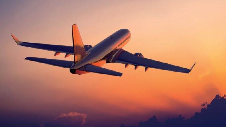 مهاجرون يستقرون بالوطن بعد سنوات من الغربة