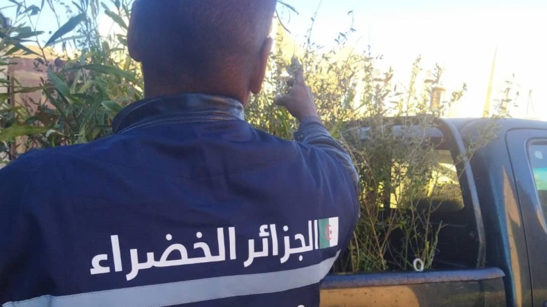  بعد 10 سنوات من انطلاقه..  نهاية مشروع الجزائر الخضراء