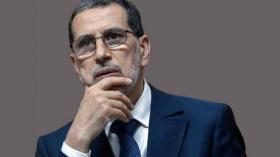 من التطبيع إلى الطبخ.. موجة سخرية من العثماني بالشبكات