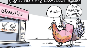 تسقيف أسعار الدجاج