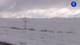 سطيف: عائلات من الصحراء تكتشف الثلوج لأول مرة