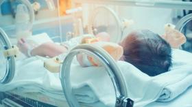  إشادة بممرضتين تركيتين قامتا بحماية أطفال رضع خلال الزلزال (فيديو)