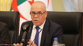 تصريحات جديدة لوزير العمل حول الزيادات في المعاشات والأجور