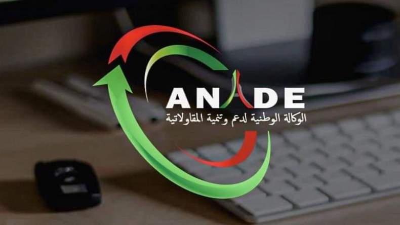 مشاريع أونساج: تحقيق رسمي يكشف وجود 12 ألف مؤسسة “وهمية”