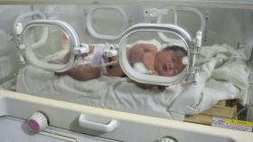 هل رفضت سوريا طلب أنجيلينا جولي لتبني رضيعة ناجية من الزلزال؟