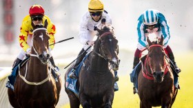 “حصان الجزائر” يفوز بالمركز الأول في مسابقة دولية بدبي