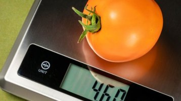 دخل الحرامُ على الحلال فبعثره!