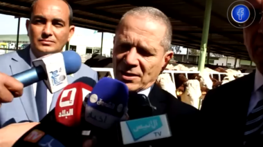 وزير الفلاحة: ” سعر اللحوم لن يتجاوز 1200دينار”