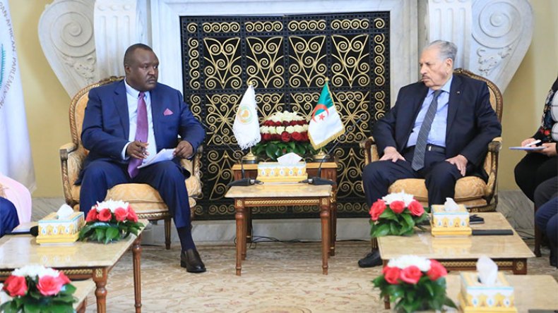 الجزائر تؤكد على استقلالية القرار القارّي وتصفية الاستعمار