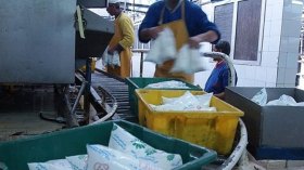 هذه أسباب تراجع إنتاج الحليب وندرته في بعض الولايات