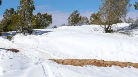 نشرية خاصة: ثلوج وأمطار عبر عدة ولايات بداية من يوم السبت