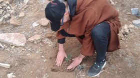 “الجزائر الخضراء”.. حملة لتشجير رماد الحرائق