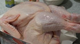 “حماية المستهلك” تحذر من البقع الخضراء على الدجاج