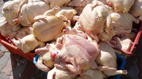 أخبار الجزائر ليوم الثلاثاء 19 سبتمبر 2023