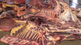 تجار في وهران يمونون مؤسسات عمومية بلحوم فاسدة