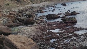 تراجع مياه البحر يثير الهلع.. ومختصون يُطمئنون