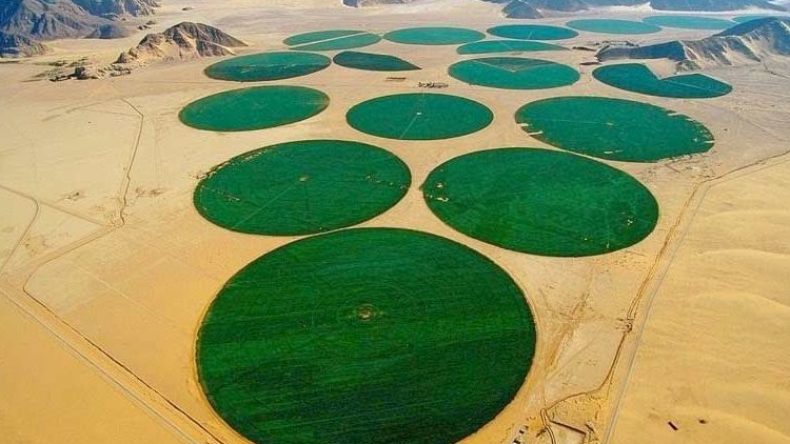 3 آلاف طلب استثمار فلاحي بالصحراء الجزائرية