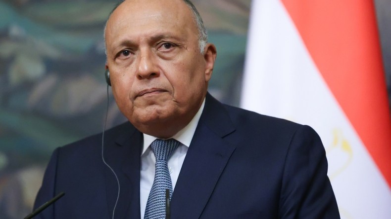 وزير الخارجية المصري في زيارة إلى سوريا وتركيا