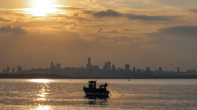 تراجع مياه البحر يثير الفزع بعدة دول عربية بينها الجزائر وخبراء يعلقون