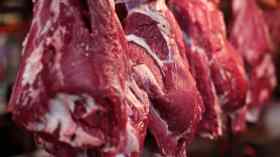 حجز 17 قنطارا من اللحوم الحمراء والبيضاء الفاسدة