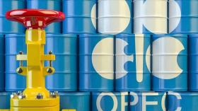 هل تسعى الإمارات للانسحاب من منظمة أوبك؟