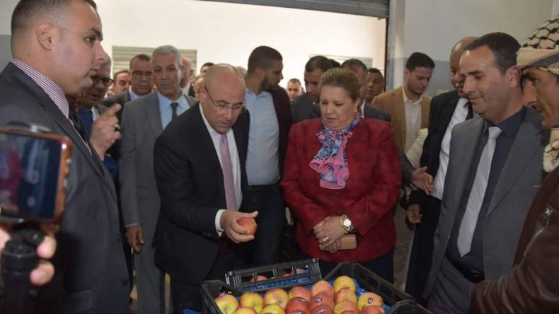 أرضية بمواصفات عالمية لتحضير المنتجات الفلاحية قبل تصديرها