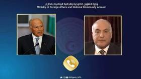 عضوية فلسطين بالأمم المتحدة محور مكالمة هاتفية بين عطاف وأبو الغيط