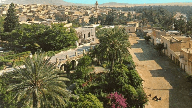 في المسيلة