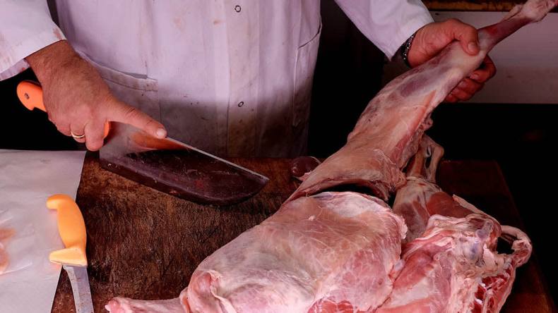 هذه حقيقة فيديو مزرعة بيع لحوم الحمير بمصر