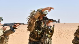 دور ريادي للجزائر ضدّ الإرهاب والتطرف والجريمة المنظمة