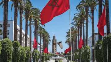 هذا “الخِنّوص” من ذاك “الخنزير”