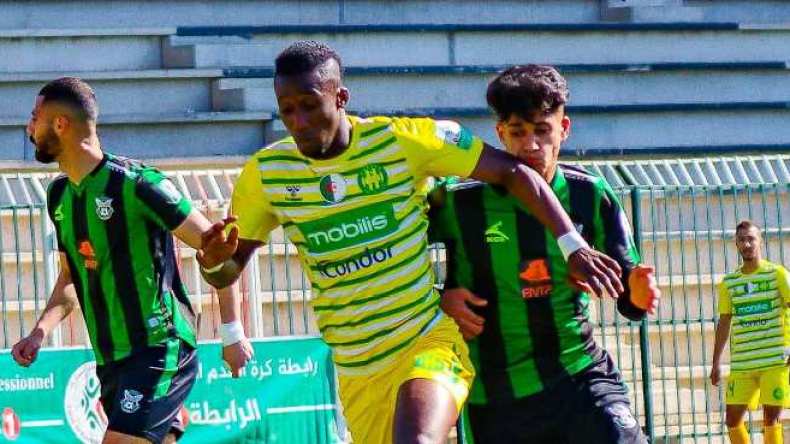 لا غالب ولا مغلوب بين السّنافر والكناري