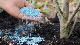 الجزائر لاعب عالمي جديد في الأسمدة والمخصبات الزراعية