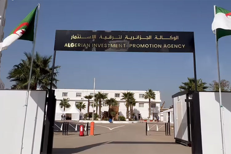 Over 1605 Algerian and Foreign Investments in -150 Days