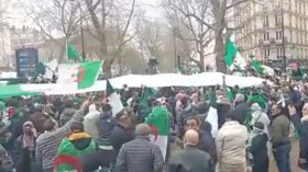 جزائريون يشيدون بإنجازات الرئيس تبون وينددون بالعملاء