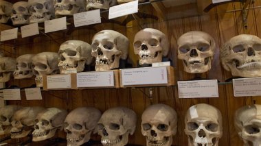 Committee To Study Proposed Law On The Transfer Of Martyrs’ Skulls From France To Algeria