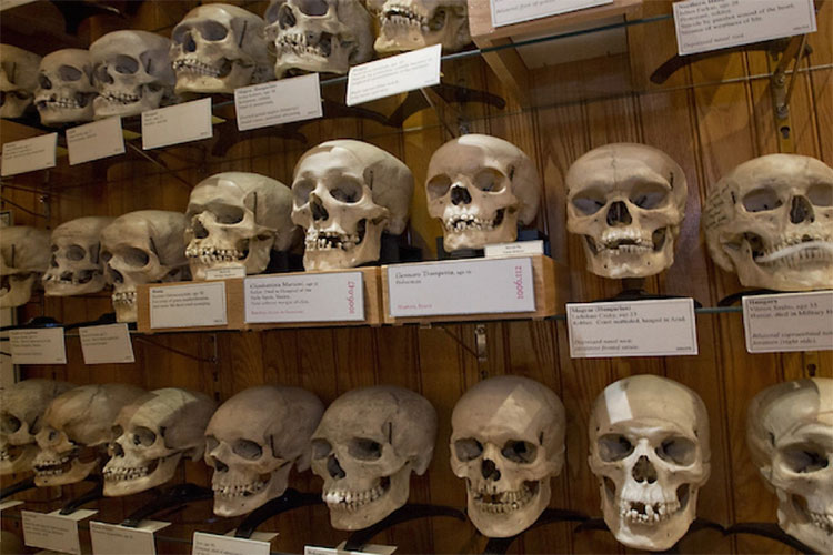 Committee To Study Proposed Law On The Transfer Of Martyrs’ Skulls From France To Algeria