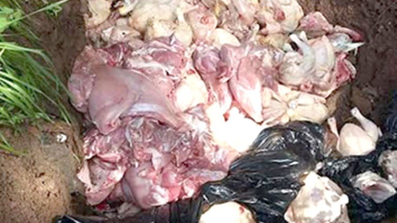 أخبار الجزائر ليوم السبت 04 مارس 2023