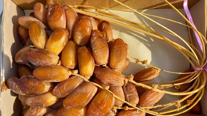  التمور الجزائرية تغزو أسواقا عالمية جديدة
